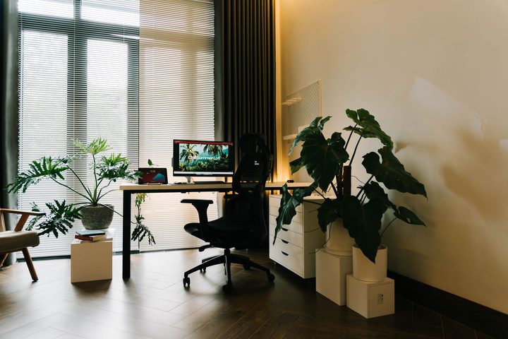 観葉植物の置かれた明るい仕事場